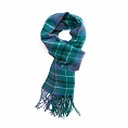 картинка Clans Of Scotland Duncan Ancient от магазина  Mykilt